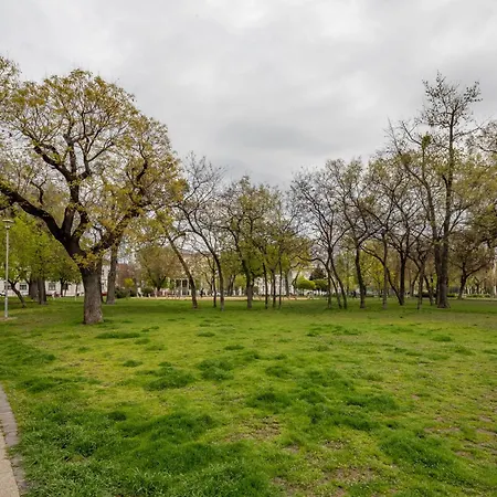 - Relaxing - Relaxing Sleep *